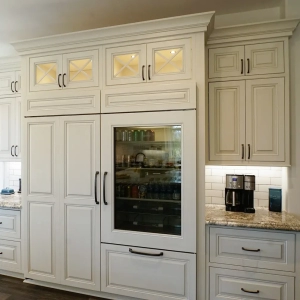 Kitchen Refrigerator with Cabinet Door Covering