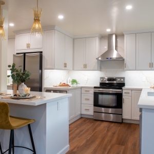 Del Mar Kitchen Remodeling