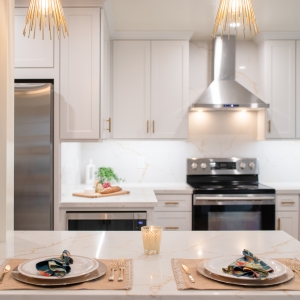 Modern Kitchen Remodeling Project