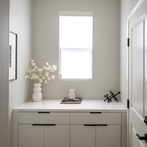 Modern Kitchen Pantry Remodel