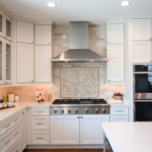 Modern Kitchen Renovation