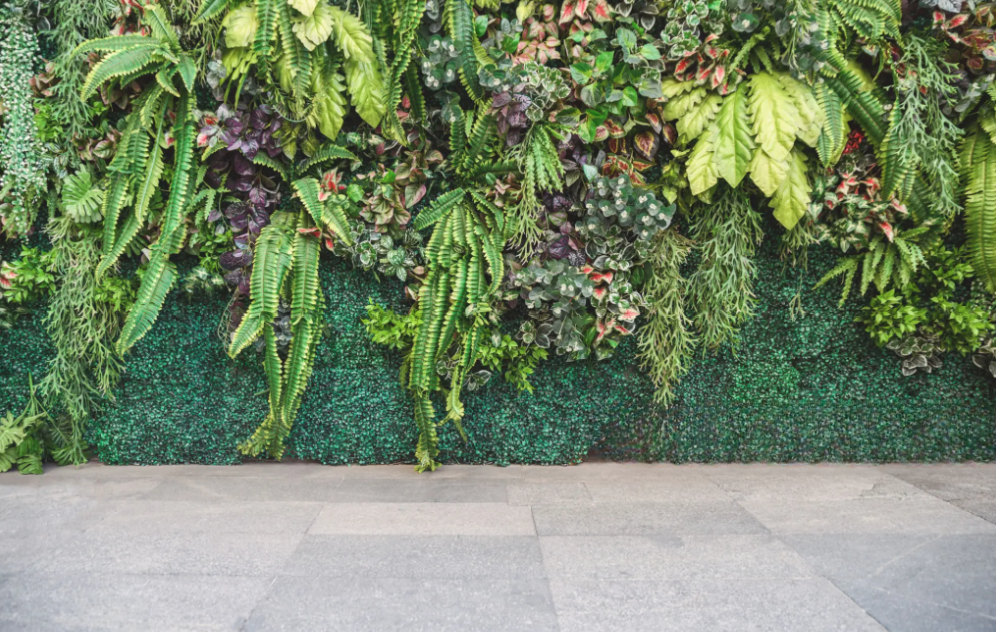 Living Wall Ideas San Diego CA