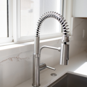 Kitchen Sink and Faucet Upgrades