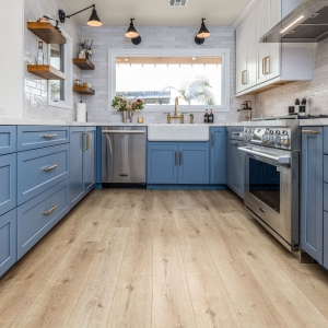 Blue cabinets and farmhouse sink with brass faucet